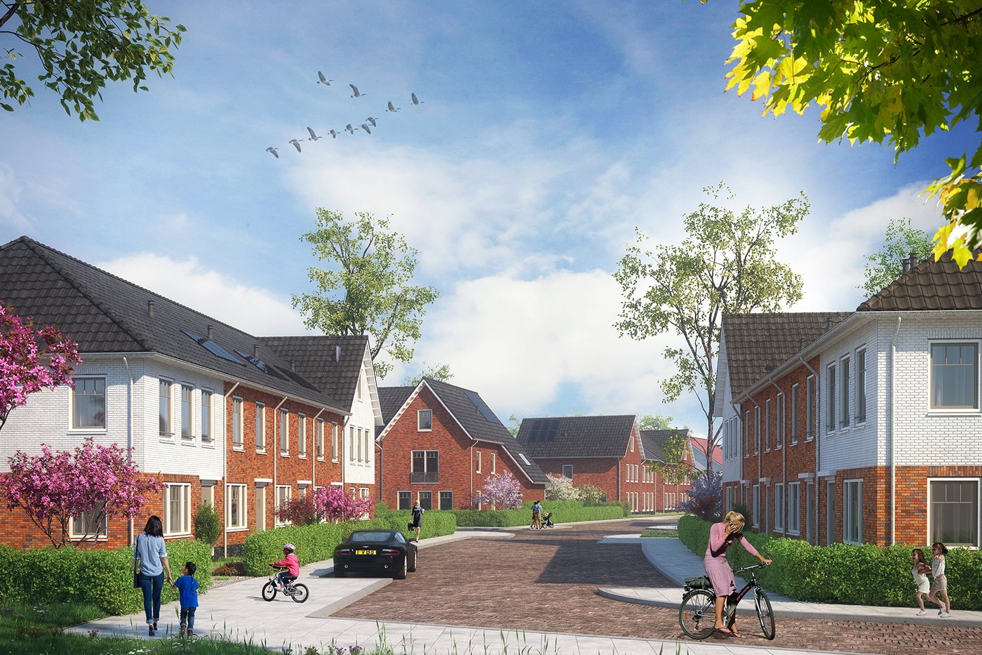 Brinkvelden